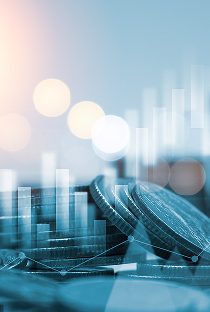 Software zur Verwaltung von Finanzsparen