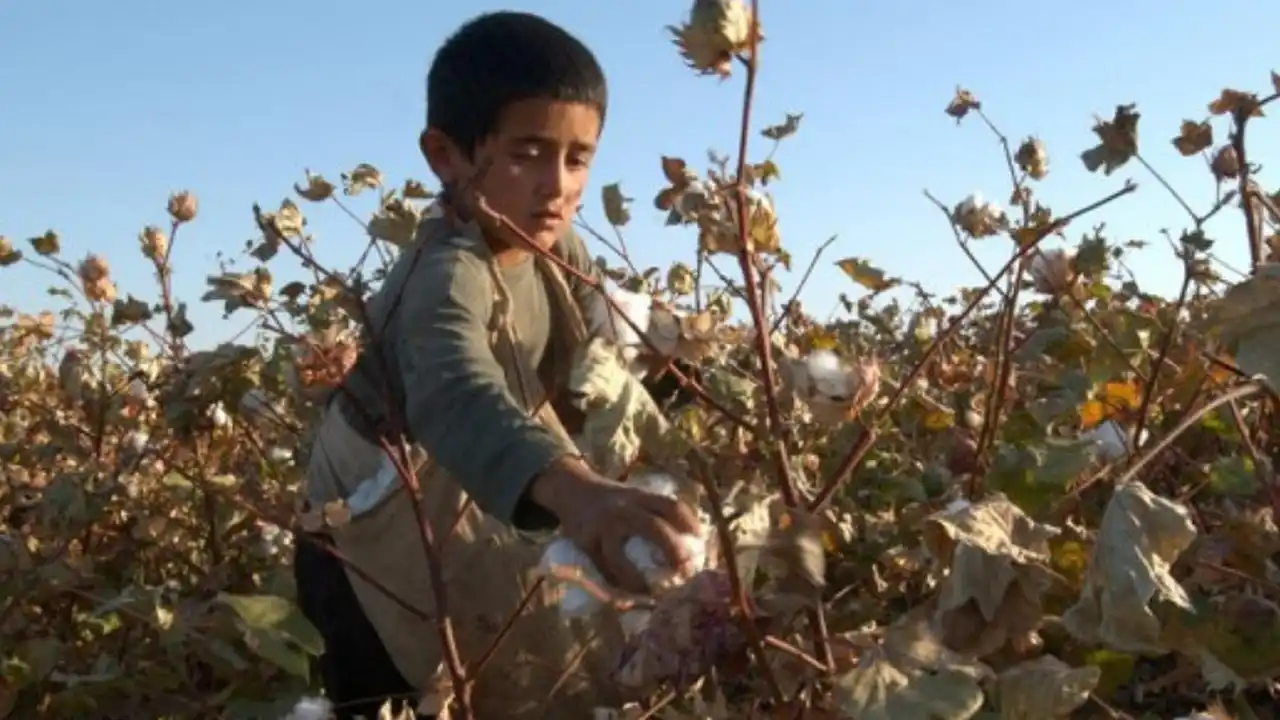 Slavery in Supply Chain