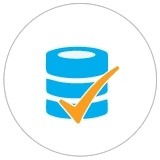 Electronic Invoice Capture Software- Icon5