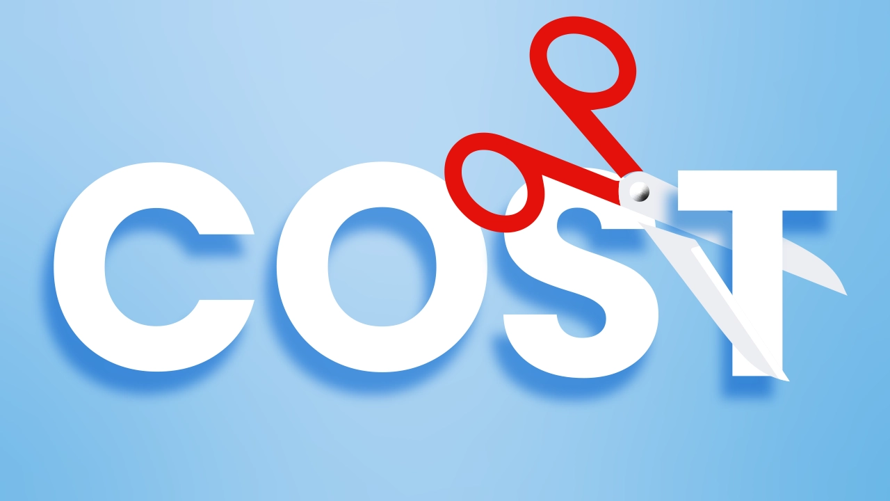 Cost Reduction Strategies