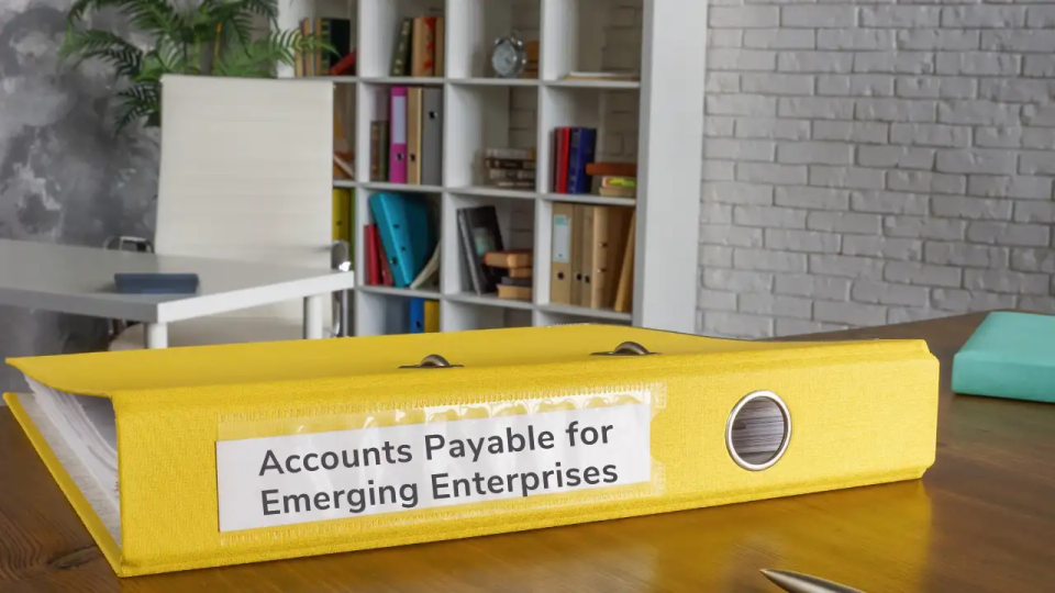 Accounts Payable Software for Emerging Enterprise